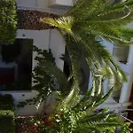 Digenis Aparthotel